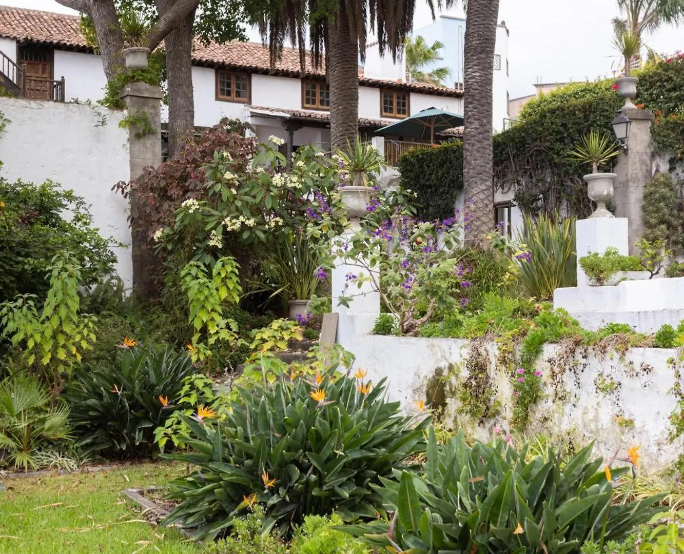Apartamento Suite Zarate La Orotava